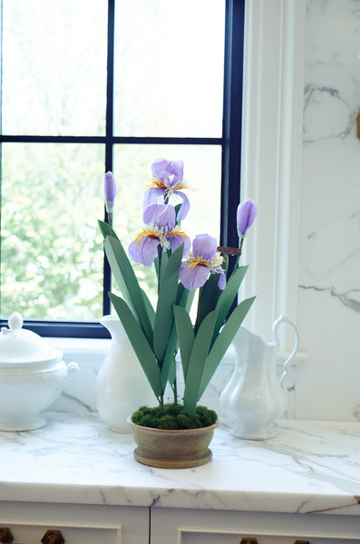The Green Vase for Provence Poiriers - Purple Bearded Irises