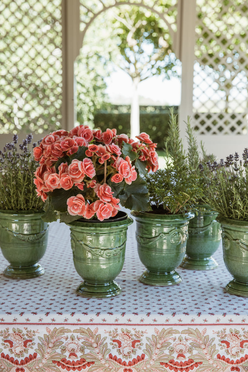 Anduze Pot