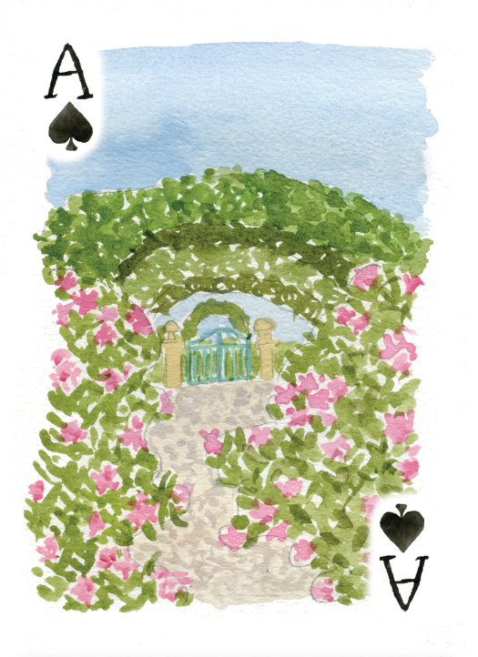 Le Mas des Poiriers Playing Cards