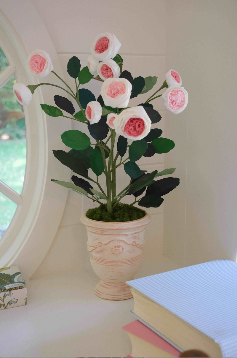 The Green Vase for Provence Poiriers - Eden Climbing Rose