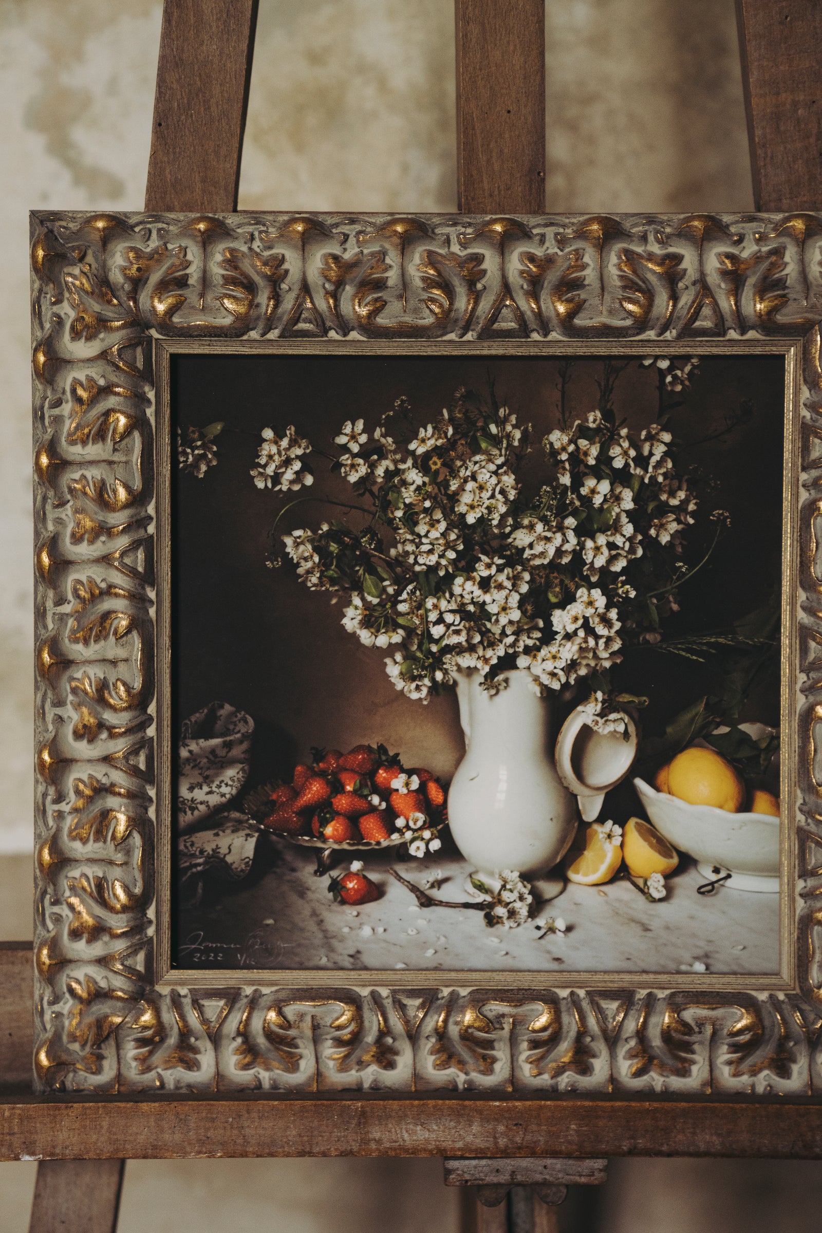 DSC07101_1600x.jpg?v=1655985971